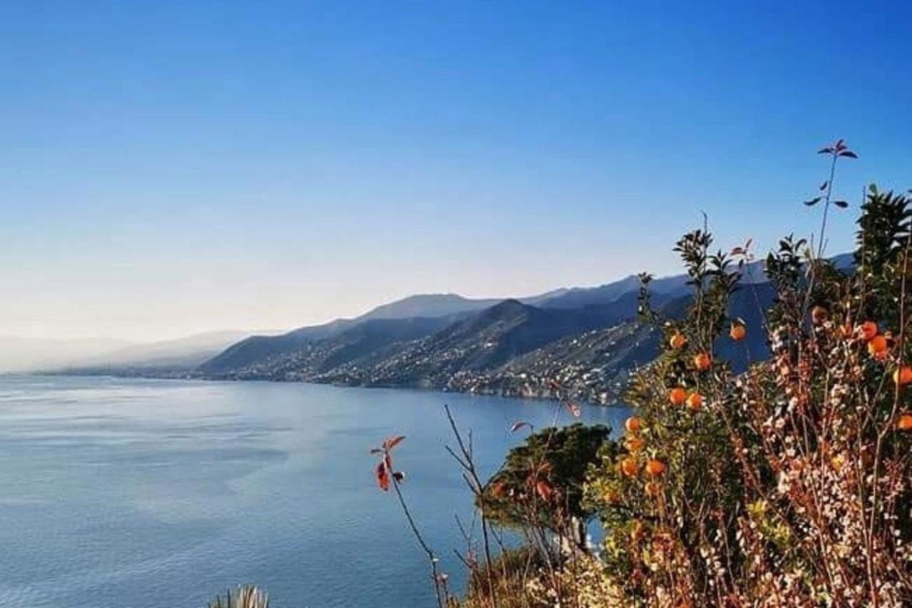 Rosablu Vacanza Tra Mare E Parco Di Portofino Camogli Exterior photo