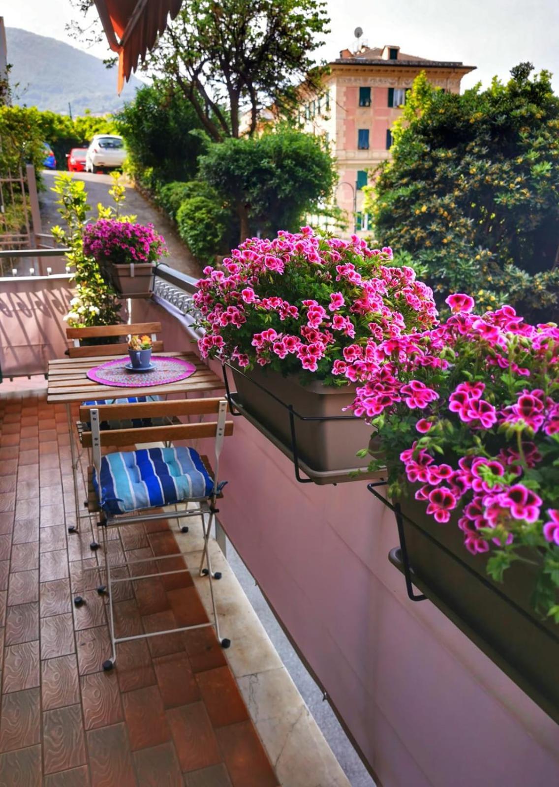 Rosablu Vacanza Tra Mare E Parco Di Portofino Camogli Exterior photo